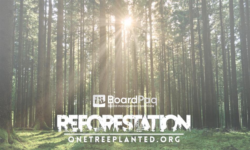 Reforestation